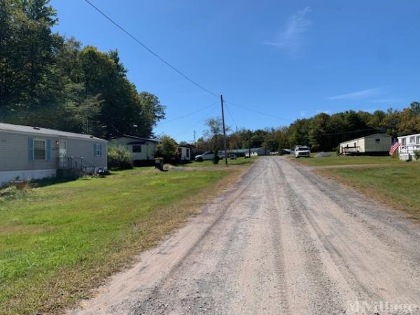 Photo 0 of 2 of park located at White Birch Park Lake Ariel, PA 18436