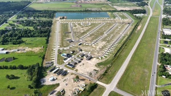 Photo of Piney Woods, Crosby TX