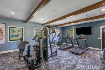 Photo 3 of 19 of park