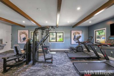 Photo 4 of 19 of park