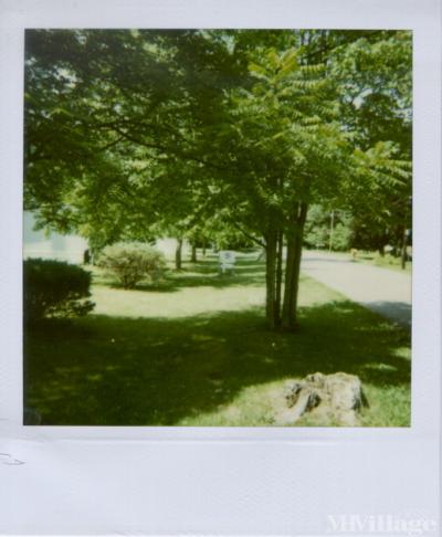 Mobile Home Park in Ithaca NY
