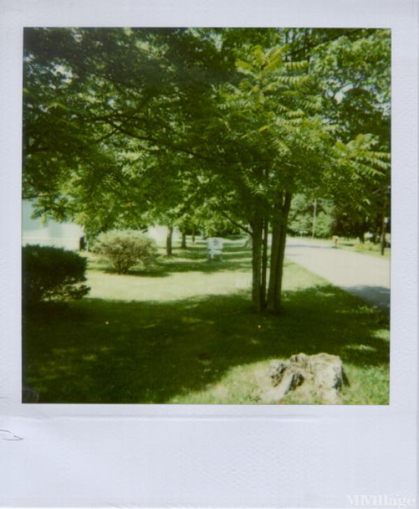 Photo 0 of 2 of park located at 79 Lower Creek Rd. Ithaca, NY 14850