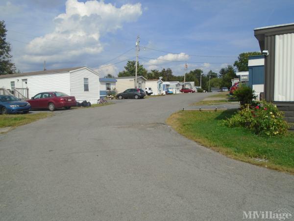 Photo of Saint Clair's, Morgantown WV