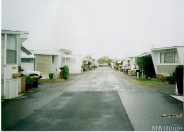 Photo of West Wind Mobile Home Park, Rio Vista CA