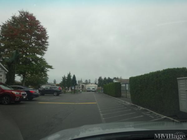Photo of Parklane Court, Spanaway WA