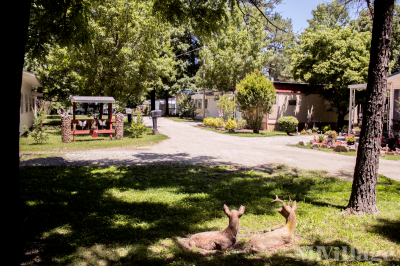 Mobile Home Park in Mountain Home AR