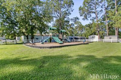 Photo 3 of 26 of park