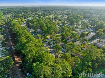 Photo 5 of 26 of park