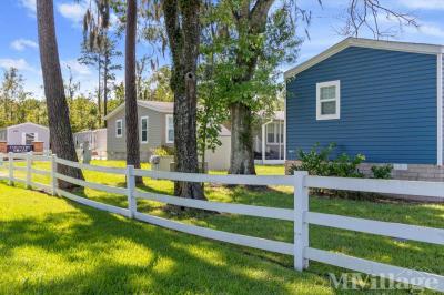 Photo 2 of 56 of park