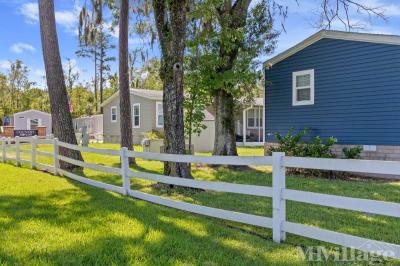 Photo 3 of 56 of park