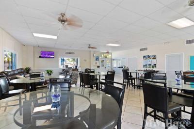 Photo 2 of 35 of park