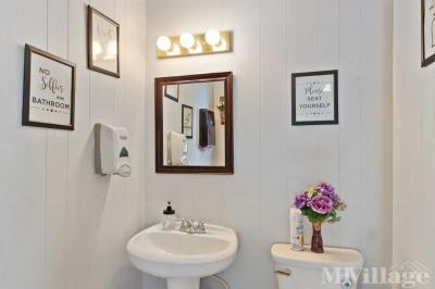 Photo 4 of 35 of park