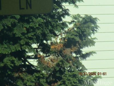 Mobile Home Park in Burlington WA