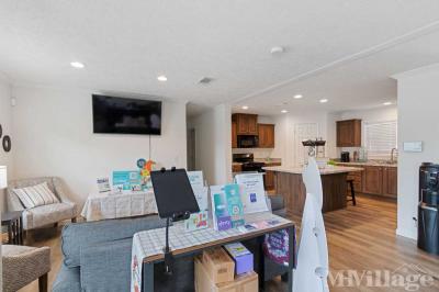 Photo 4 of 61 of park