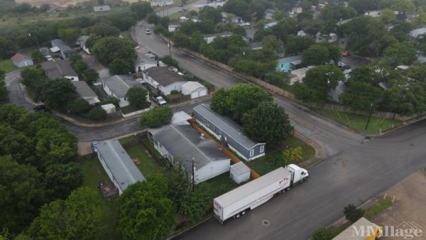 Photo of Snowflake and Bandera, San Antonio TX