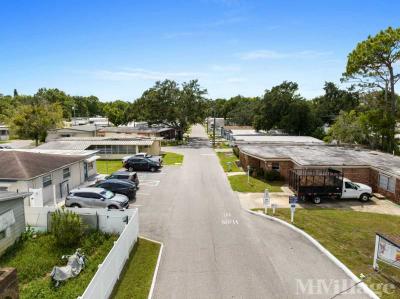 Photo 4 of 80 of park