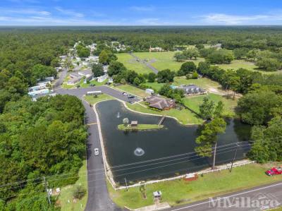 Photo 4 of 46 of park