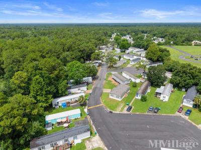 Photo 5 of 46 of park