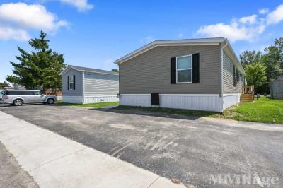 Photo 4 of 14 of park