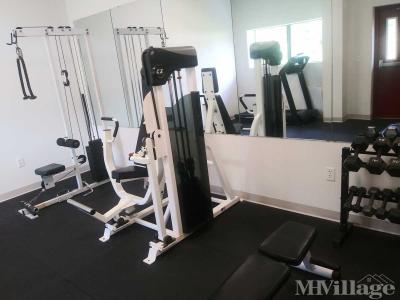 Photo 3 of 7 of park