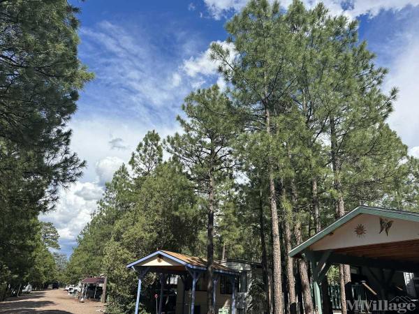 Photo 1 of 2 of park located at 3489 Rainbow Lake Drive Lakeside, AZ 85929