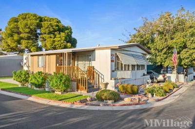 Photo 5 of 41 of park