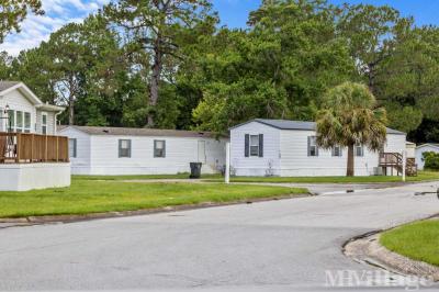 Photo 2 of 41 of park