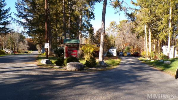 Photo of Pocono Village Court, Stroudsburg PA