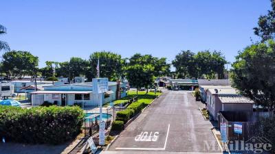 Photo 1 of 79 of park