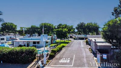 Photo 2 of 79 of park