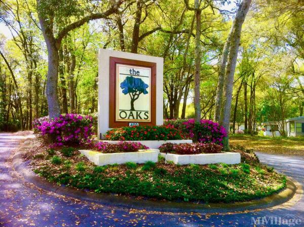 Photo of The Oaks, Deland FL