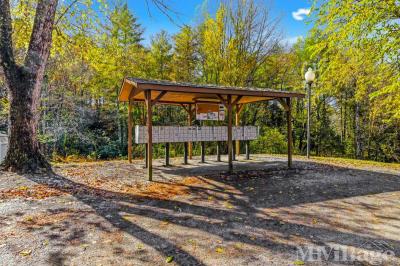 Photo 4 of 8 of park