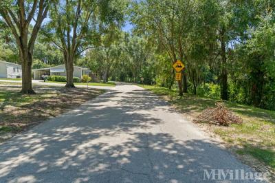 Photo 2 of 82 of park