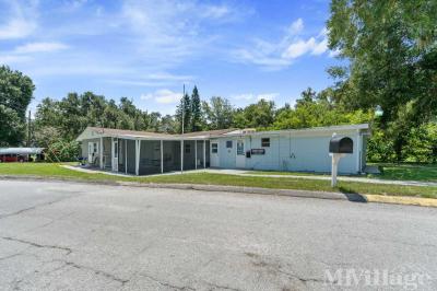 Photo 3 of 82 of park