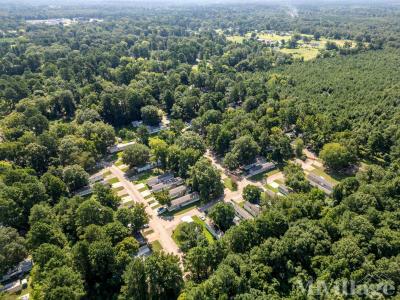 Photo 2 of 31 of park