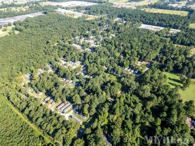 Photo 3 of 31 of park