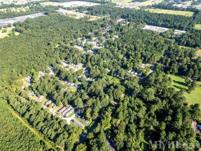 Photo 4 of 31 of park