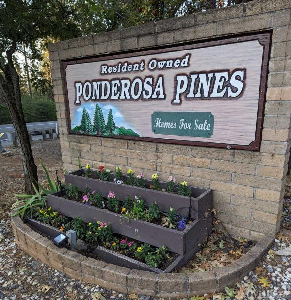 Photo 1 of 2 of park located at 10135 Timberland Drive Grass Valley, CA 95949