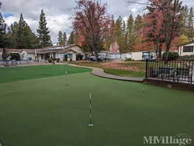 Photo 2 of 22 of park located at 10135 Timberland Drive Grass Valley, CA 95949