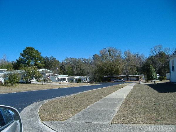 Photo 0 of 2 of park located at 29129 Johnston Rd Dade City, FL 33523