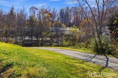 Photo 3 of 4 of park