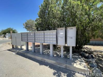 Photo 3 of 8 of park located at 5000 North La Cholla Boulevard Tucson, AZ 85705