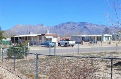 Photo 5 of 8 of park located at 5000 North La Cholla Boulevard Tucson, AZ 85705