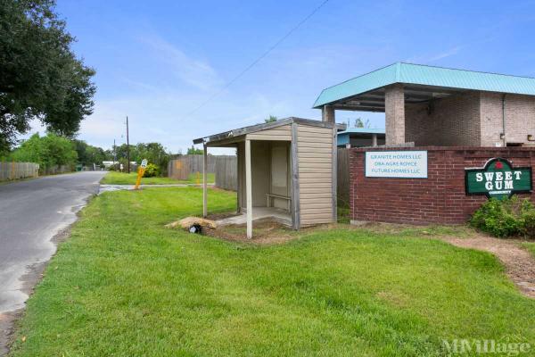 Photo of Sweet Gum Community, Sulphur LA