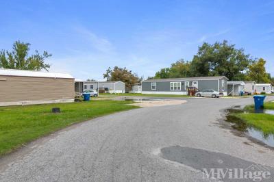 Photo 5 of 39 of park