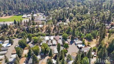 Photo 1 of 45 of park