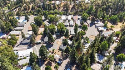 Photo 2 of 45 of park