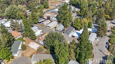 Photo 3 of 45 of park