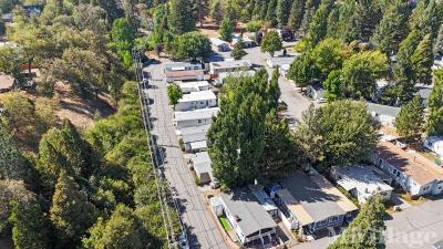 Photo 4 of 45 of park