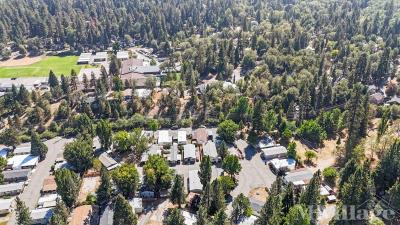 Photo 5 of 45 of park